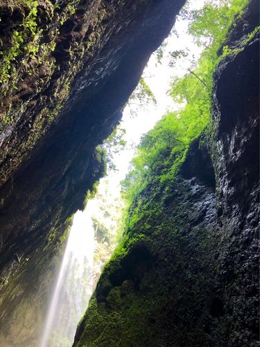 天坑地缝国家重点风景名胜区-天坑地缝国家重点风景名胜区门票