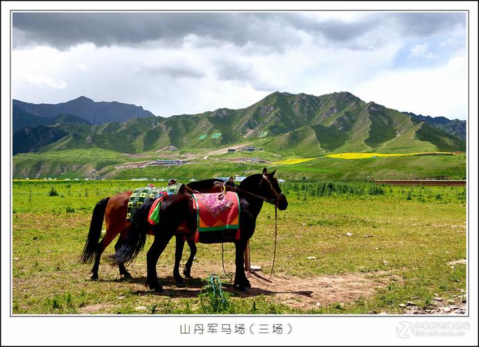 山丹军马场门票-山丹军马场门票多少