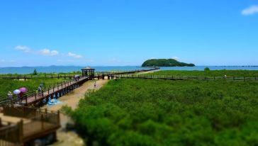 阳江海陵岛红树林湿地公园-阳江海陵岛红树林湿地公园门票多少钱