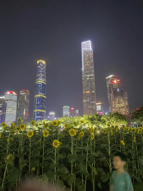 广州花城广场夜景-广州花城广场夜景描述